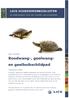 Roodwang-, geelwangen geelbuikschildpad