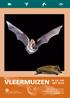 Vleermuis in huis? Wat voor dieren zijn vleermuizen?