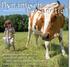 Ledenblad van de Vereniging voor Biologisch-Dynamische Landbouw & Voeding. Lente 2013 / 2