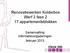 Renovatiewerken Kolderbos Werf 3 fase 2 17 appartementsblokken. Samenvatting informatievergaderingen februari 2013