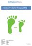 Carbon Footprint Analyse 2012