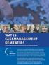 wat is casemanagement dementie? een samenvattende beschrijving van het geriant-model