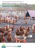 Controlling egg dioxin levels from laying hens with outdoor run. Beheersing dioxines in eieren van leghennen met buitenloop. biokennis biokennis