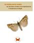 DE NEDERLANDSE NAMEN. van de kleine vlinders (microlepidoptera) in Nederland en België