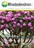 Rhododendron. 100 favorieten. Bijzondere grote maten Planten van topkwaliteit GIDS. rhododendrongids is een uitgave van van den berk rhododendron gmbh