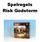 Spelregels Risk Godstorm