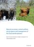 Natural processes, animal welfare, moral aspects and management of the Oostvaardersplassen