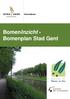 Groendienst. BomenInzicht - Bomenplan Stad Gent