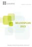 BELEIDSPLAN 2015. AZJP Beleidsplan 2015 publicatiedatum 19/06/2015