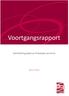 Voortgangsrapport. Samenlevingsopbouw Antwerpen provincie