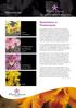 8 Tips. Nieuwsbrief. Bladvlekken in Phalaenopsis. Overinvesteren. Phalaenopsis bemestings- 5 proef. Cymbidium