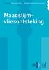 Informatie van de Maag Lever Darm Stichting en de Nederlandse Vereniging van Maag-Darm-Leverartsen. Maagslijmvliesontsteking