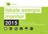 lokale energie monitor 2015