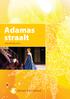 Adamas straalt. Jaarverslag 2014