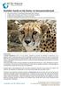 Namibië: Hands-on bij cheeta- en leeuwenonderzoek