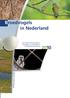 Broedvogels in Nederland. Het Meetnet Broedvogels is onderdeel van het Netwerk Ecologische Monitoring