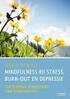 MINDFULNESSTRAINING BIJ STRESS, BURN-OUT EN DEPRESSIE EEN 8-WEKEN-STAPPENPLAN VOOR HULPVERLENERS