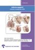 Adviesrapport Evidentie Vaardigheden COPD