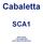 Cabaletta SCA1 HENK ENGEL 3 OKTOBER 2015 ADCA REGIO NOORD DAG