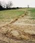 Erosie in Vlaanderen. Samen werk maken van erosiebestrijding