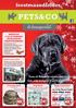 feestmaandfolder 24, 99 49, 99 49, Namens alle Pets&Co ondernemers wensen wij al onze klanten prettige feestdagen en een goed en gezond 2014 toe.