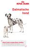 Dalmatische hond. Royal Canin rasspecifieke voeding voor Dalmatiër pups tot 15 maanden voor de volwassen Dalmatiër vanaf 15 maanden
