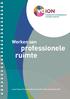 Werken aan. professionele ruimte. Louis Thijssen (Voion),Ton Bruining ( KPC), Hanna de Koning ( APS)