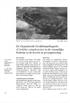 De Gepantserde Gordelstaarthagedis ( Cordylus cataphractus) in de natuurlijke biotoop en de kweek in gevangenschap
