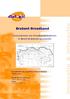 Brabant Breedband. Inventarisatie van breedbandinitiatieven in Noord-Brabantse gemeenten. In opdracht van de provincie Noord-Brabant 2004.