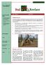 Bodyprotectors. Beestjes in het bos STAL T REELAER NIEUWSBRIEF. Interessante informatie: In dit nummer: Teken 1. Ruiter en paard van de maand!
