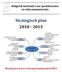 Strategisch plan 2010-2013