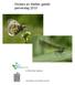 Vlinders en libellen geteld: jaarverslag 2010