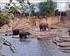 Waterhergebruik in Wildlands Adventure Zoo Emmen - Hernieuwde sluiting van de waterkringloop