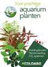 Voor prachtige. aquarium planten PRO AQUA SCAPE. Voedingsbodem Plantenvoeding CO 2. systemen