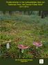 Paddenstoelen in het zuidwestelijke deel van Nationaal Park Het Drents-Friese Wold