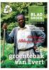 BLAD GROEN. jaargang 11 nr 4. natuurlijk, even recyclen. Château Bloeyendael. de groentebak van Evert