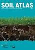 De cruciale rol van bodemtype op de verspreiding van bodemfauna