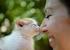 Verplichte sterilisatie en identificatie bij katten. Evaluatie door de praktijkdierenarts Cathy Tourlouse, DAP Iscavets, Overijse
