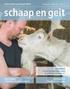 (On)vruchtbaarheid en abortus bij schapen in Nederland Ledenvergadering Swifter Schapenstamboek, , Nijkerk. Piet Vellema