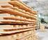 Duurzaam geproduceerd hout op de Nederlandse markt in Jan Oldenburger Nico Leek