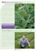 Bayer CropScience VEILIGHEIDSINFORMATIEBLAD volgens Verordening (EG) Nr. 1907/2006