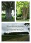 Waardevolle bomen gemeente Winsum