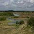 AMSTERDAMSE WATERLEIDINGDUINEN BRON VOOR NATUUR. Resultaten van een ambitieus duinherstelproject