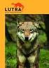 LUTRA. Journal of the Society for the Study and Conservation of Mammals. Contents Inhoud. Volume 49 Number 1 September Editorial / Redactioneel