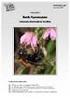 Hymeno. Nieuwsbrief Sectie Hymenoptera. nummer april. Nederlandse Entomologische Vereniging. In dit nummer onder meer: