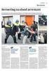 Racistisch geweld in Nederland; aard en omvang, strafrechtelijke afdoening, dadertypen
