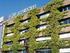 Groene gevels. Maatregelen Hitte Groene gevels. Green facade in Amsterdam atelier GROENBLAUW, Amar Sjauw En Wa