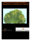 Xanthomonas-verwelkingsziekte in Pelargonium: ontrafeling van infecties