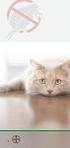 BIJSLUITER. FIPROSPOT 50 mg spot-on oplossing voor katten