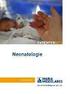 Infobrochure Neonatologie
